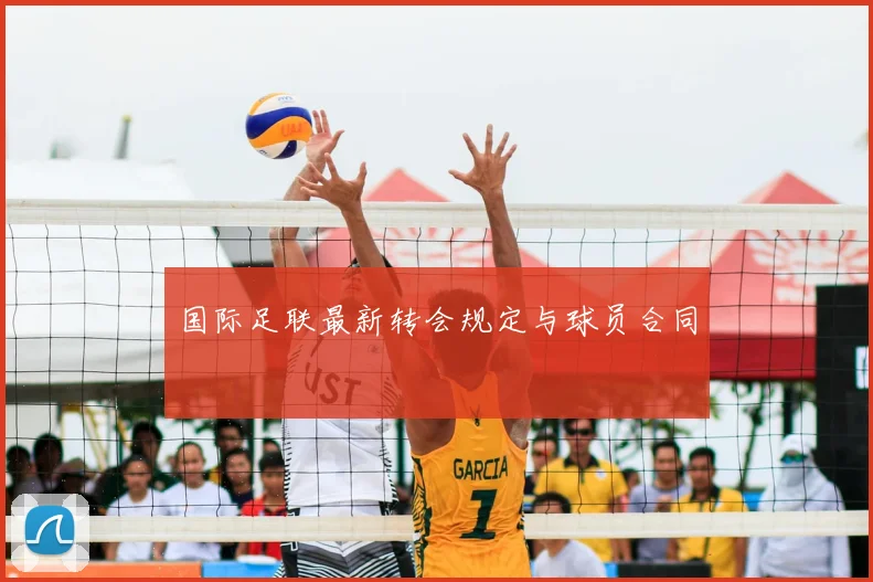 国际足联最新转会规定与球员合同