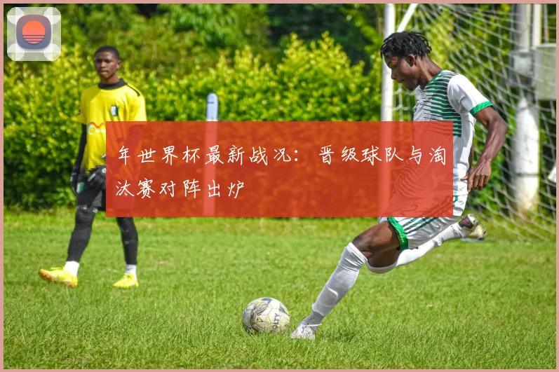 年世界杯最新战况：晋级球队与淘汰赛对阵出炉